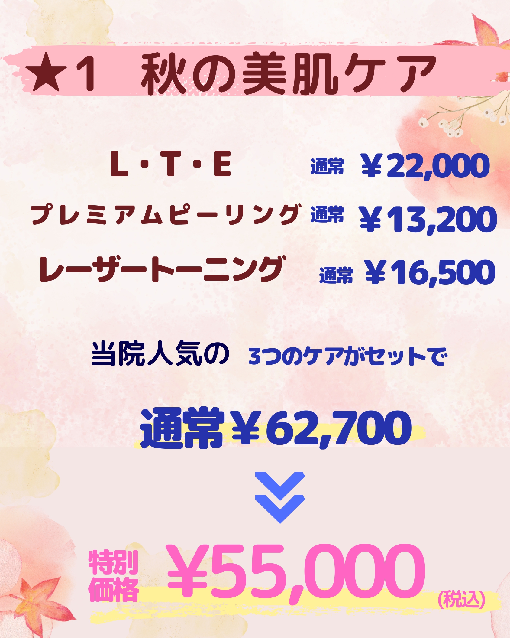 秋の美肌ケアの価格