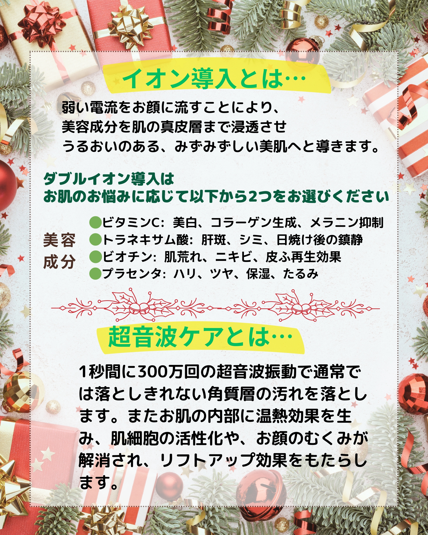 Wイオン導入と超音波エイジングケアの説明