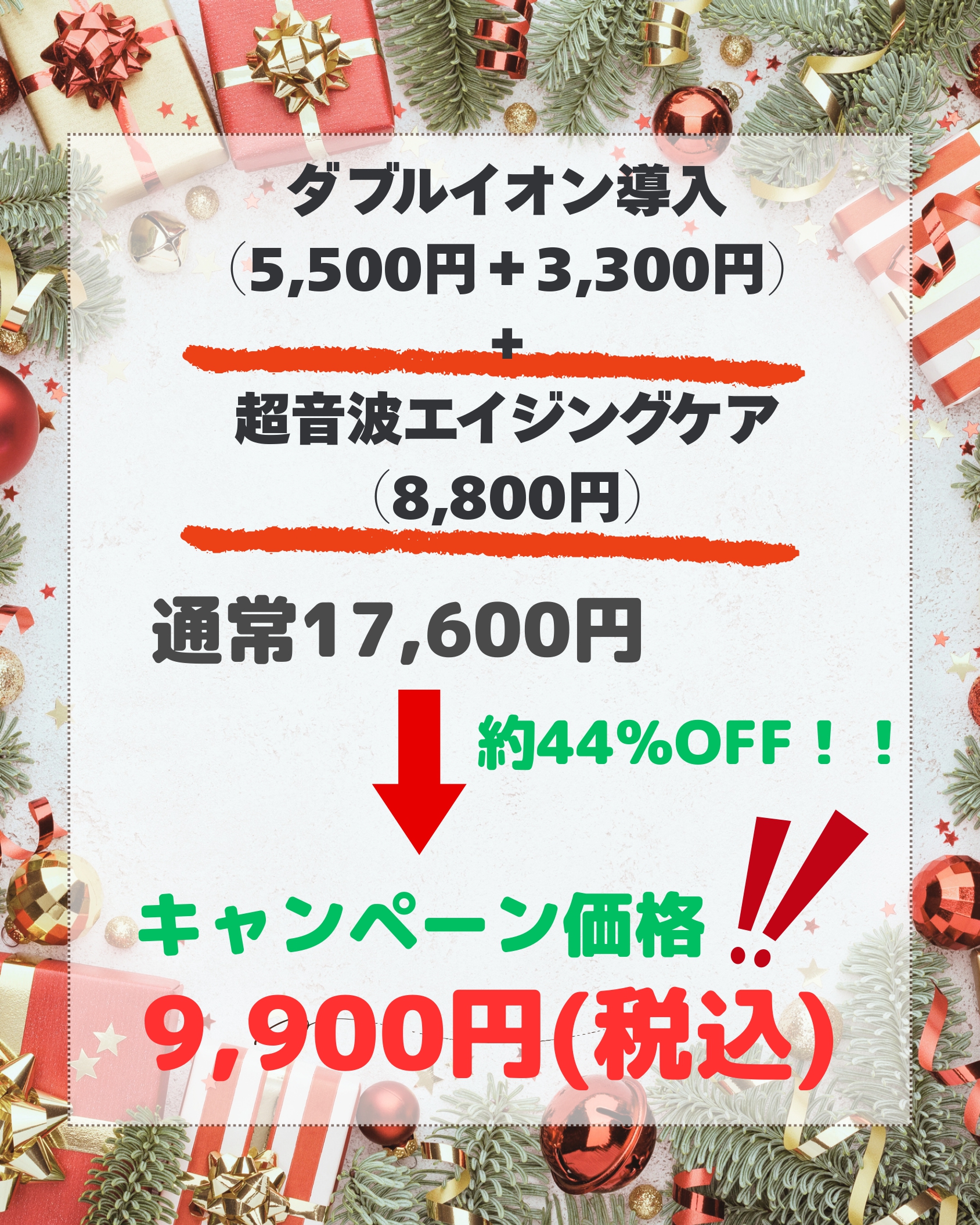 Wイオン導入＋超音波エイジングケアの価格