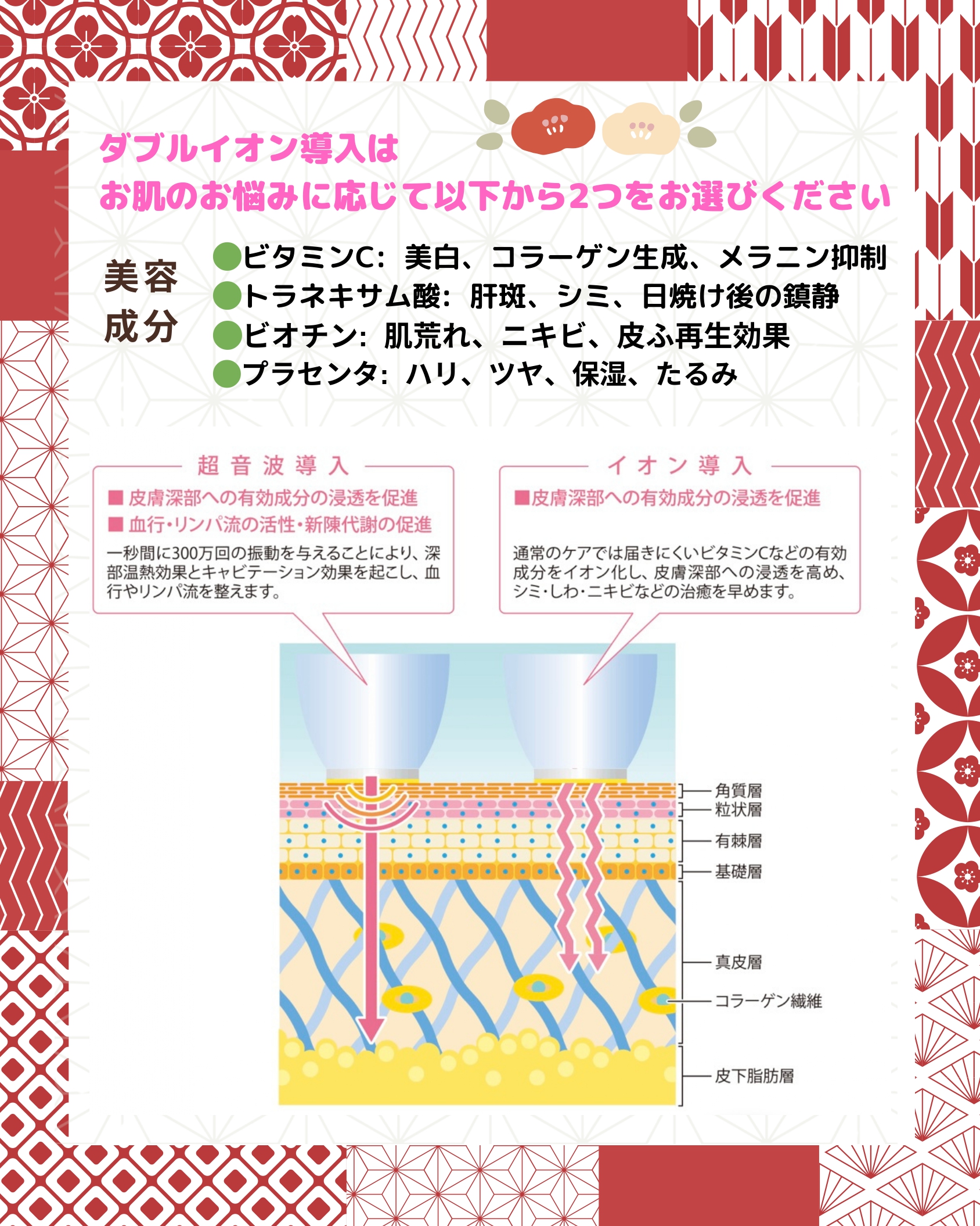 Wイオン導入（美容成分）の説明