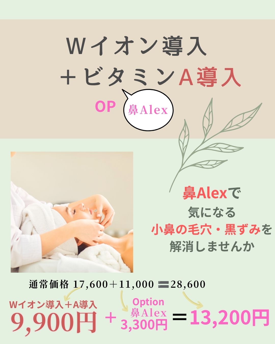 Wイオン導入＋ビタミンA導入＋鼻Alex