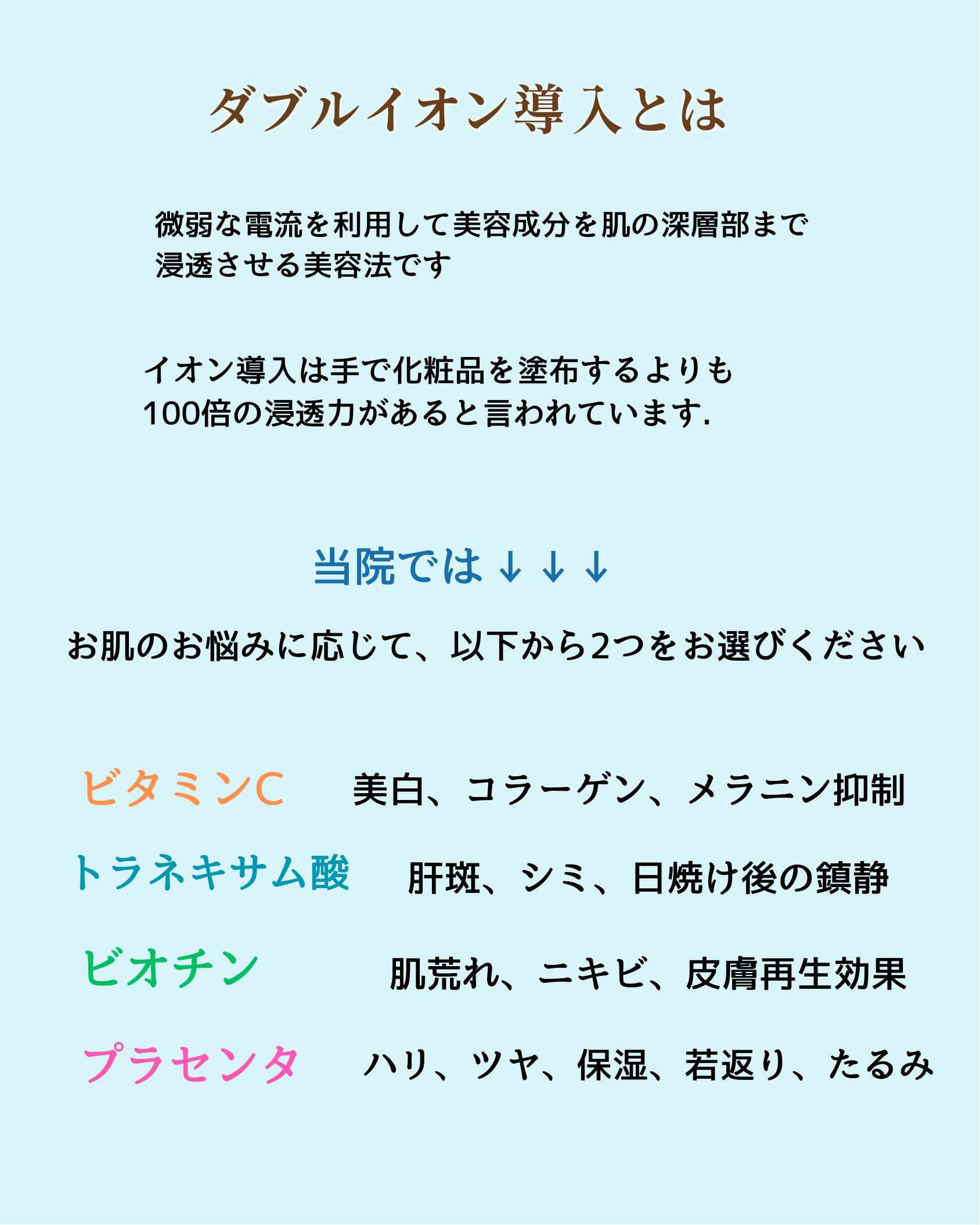 ダブルイオン導入とは
